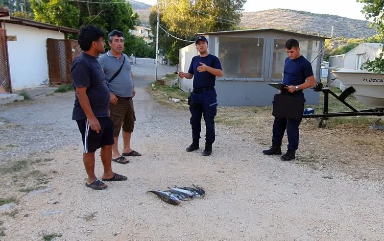 Mersin’de korkunç olay: Sahile vuran balıkları yiyince öldüler!