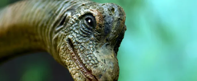 Dinozor yumurtaları zaman makinesi gibi çalışıyor! Yaşlarını artık biliyoruz