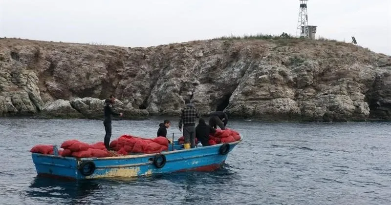 Tuzla Da 13 5 Ton Midye Ele Gecirildi En Son Haber