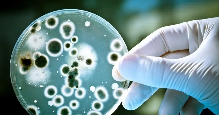OECD’den antibiyotiklere dirençli bakteri uyarısı