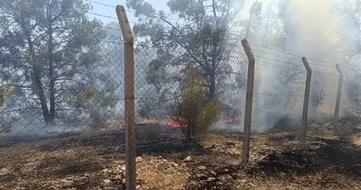 Şanlıurfa’da orman yangını