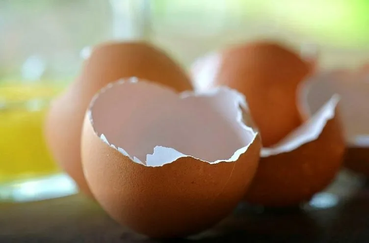Günde 2 yumurta yemenin vücuda inanılmaz etkisi!