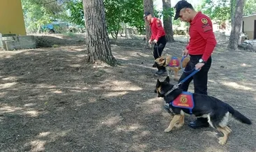 Korhan hoca yürüyüşe terlikle çıkmış