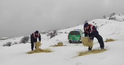 Jandarma yaban hayvanlarını unutmadı