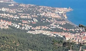 İhaleye çıkarılan zeytinlik AVM olacak