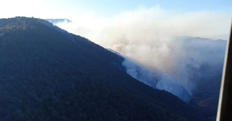 Bolu’daki orman yangınına havadan müdahale