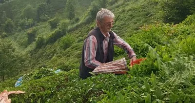 Çaykur tam kapasiteyi geçti