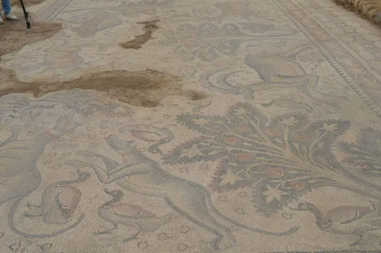 Tarlasında buldu: Tek parça halinde ve gerçekten etkileyici bir eser!