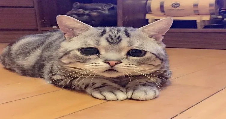 sabah