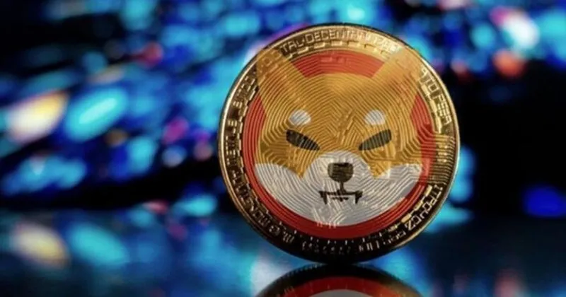 Shiba Inu Coin Nedir? SHIB Coin Nasıl Alınır?