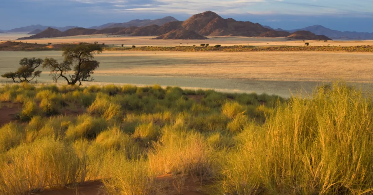 karasal iklim nedir ozellikleri nelerdir sert karasal iklimde yetisen bitkiler nelerdir son dakika egitim haberleri karasal iklim nedir ozellikleri nelerdir sert karasal iklimde yetisen bitkiler nelerdir son dakika egitim haberleri