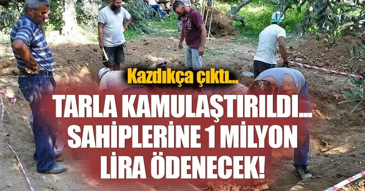 Zeytin tarlası lahit müzesi olacak