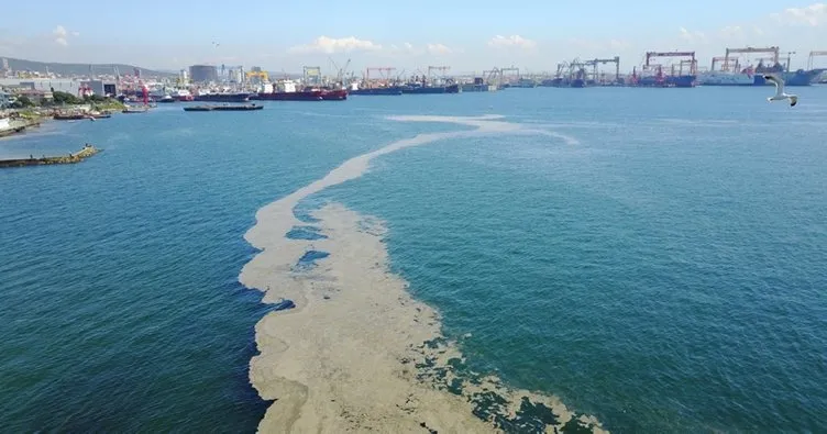 Son dakika: İstanbul'da tedirgin eden görüntü! Deniz yüzeyini kapladı...