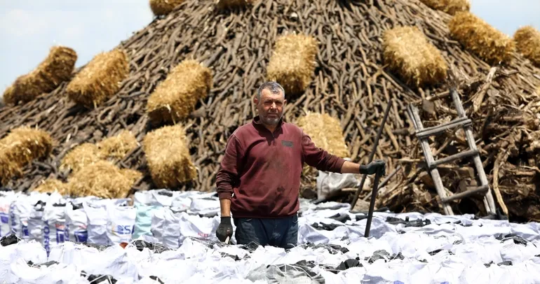 Mangal kömürünün hikayesi