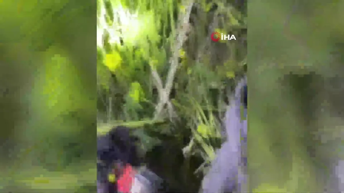 Şanlıurfa’da kayalıklarda mahsur kalan 2 küçük kardeş kurtarıldı | Video videosunu izle Şanlıurfa’da kayalıklarda mahsur kalan 2 küçük kardeş kurtarıldı | Video videosunu izle