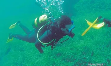 Bir yıldız dalgıç oldum