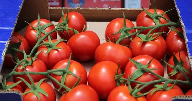 Likopen Nedir Likopen Hangi Besinlerde Bulunur Iste Likopenin Faydalari Saglik Haberleri