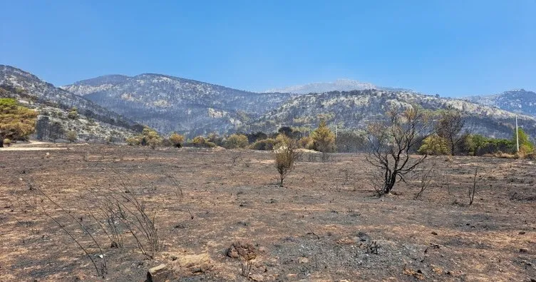 Yunanistan’da son 20 yılın en büyük orman yangını: 720 bin dönümün üzerinde alan yandı