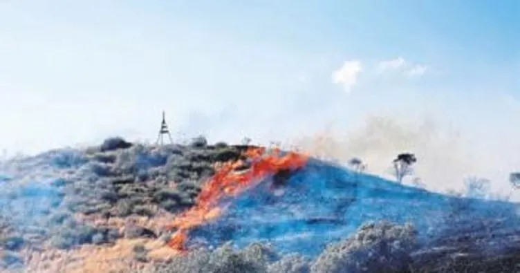 Hatay’da çıkan yangında 4 hektarlık alan kül oldu