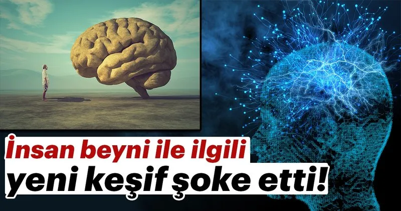 insan beyni ile ilgili kesif soke etti sayfa 3 saglik haberleri