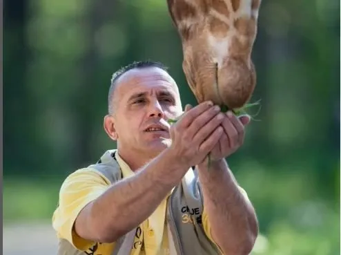 Sevgiden öte hayat bağı: 10 yıldır baktığı zürafa ile aynı gün öldü!