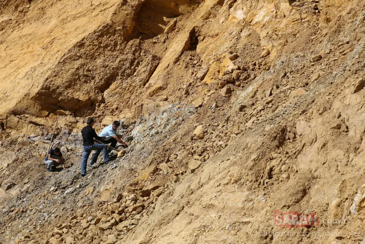Köylüler yıllardır çıra niyetine yakıyordu! Meğer o madde....