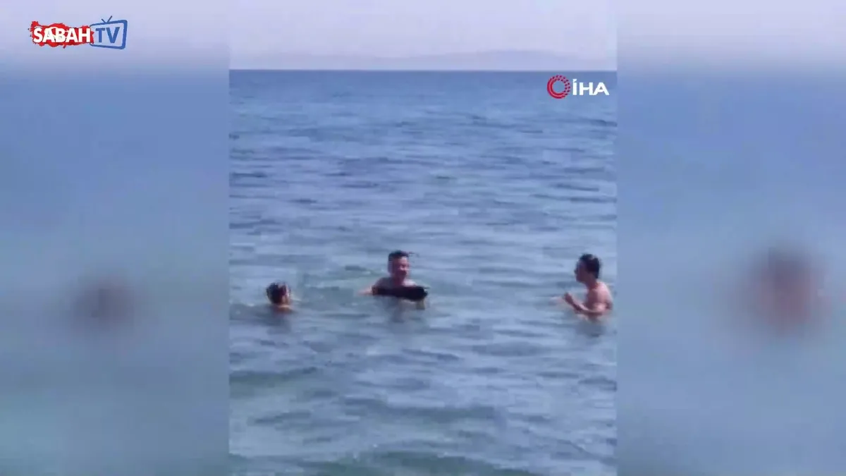 Şarköy’de denize girenlerin arasına yavru yunus daldı: Eğlenceli anlar kamerada | Video videosunu izle Şarköy’de denize girenlerin arasına yavru yunus daldı: Eğlenceli anlar kamerada | Video videosunu izle