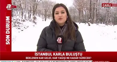 Son dakika! İstanbul’da başlayan kar yağışı kaç gün sürecek? 8 Şubat 2020 Cumartesi Pazartesi İstanbul’da okullar tatil olacak mı?