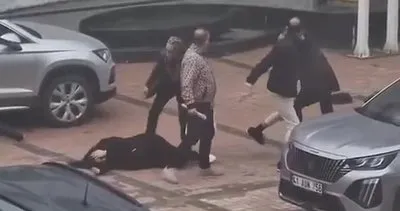 Adliye sokağı karıştı: Yumruklar konuştu, kadın bayıldı #kocaeli