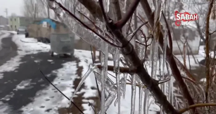 Ağrı’da kar yağışının ardından don etkili oldu | Video