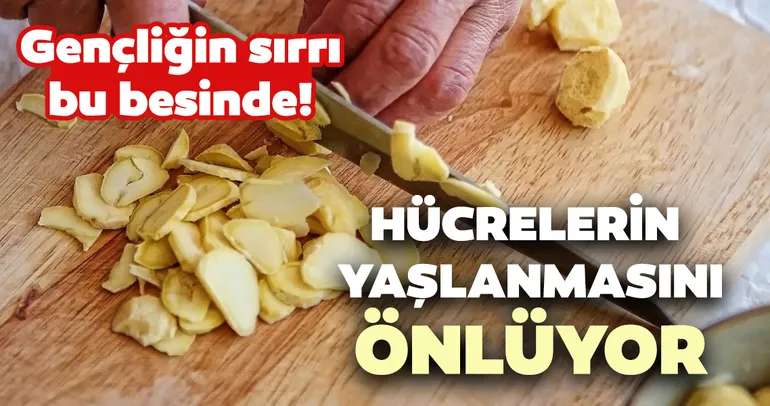 Bu besin hücrelerin yaşlanmasını önlüyor! İşte kestanenin mucizevi faydaları...