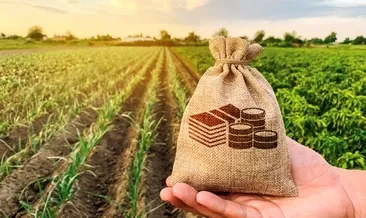 Kırsal kalkınmaya yeni destekler