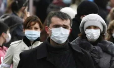 Domuz gribi Gürcistan’da 8 can aldı