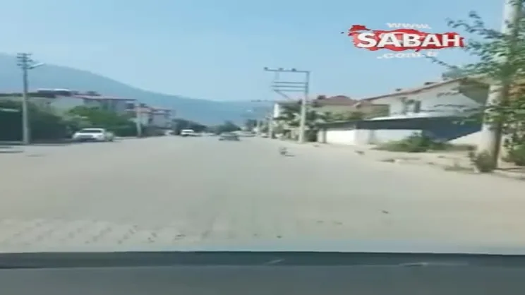 Fethiye’de yürek burkan görüntü! Yolun ortasına bırakılan köpek metrelerce koştu | Video