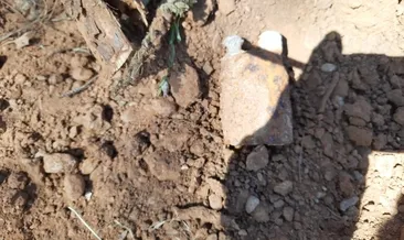 Manisa’da milli mücadele dönemine ait patlamamış el bombası bulundu