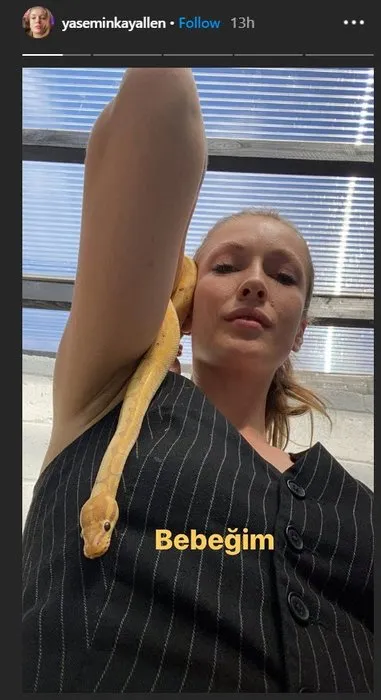 Yasemin Allen evcil hayvan olarak beslediği pitonu vücudunda gezdirdi! Güzel Oyuncu Yasemin Allen’in yılanı ile videosu sosyal medyayı salladı!