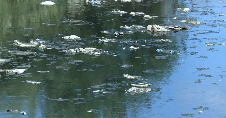 Pendik’te dereden gelen koku bezdirdi