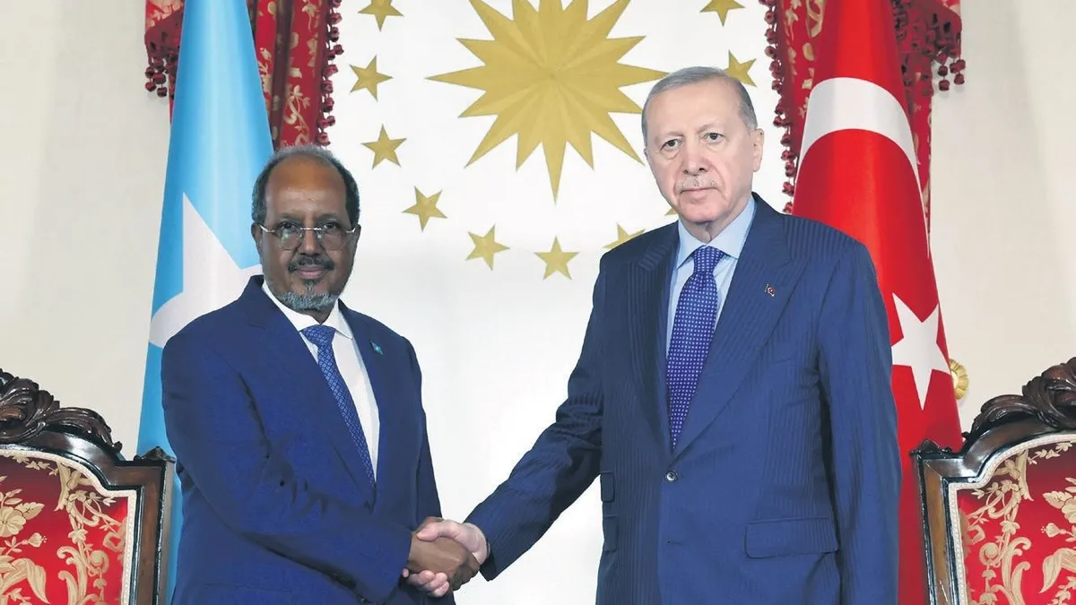 Çağrı Bey, Somali ile işbirliğinin sembolü Çağrı Bey, Somali ile işbirliğinin sembolü