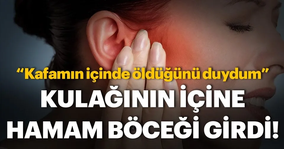 Kulaginin Icine Hamam Bocegi Girdi Dunya Haberleri