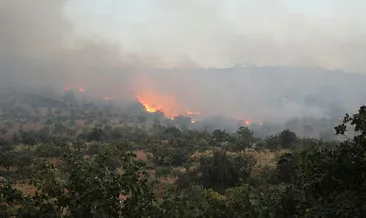 Felaket simsarları işbaşında!