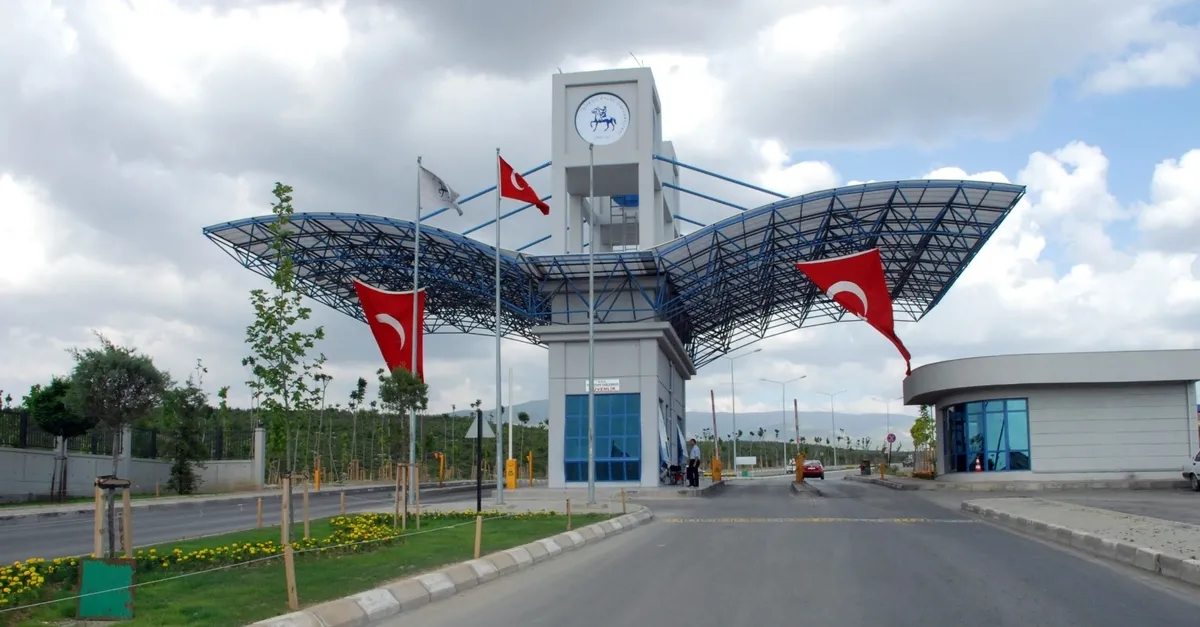 Türkiye'nin en iyi 60 üniversitesi açıklandı! OMÜ sıralamada kaçıncı oldu?