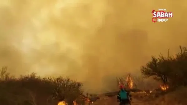 Arjantin’de çıkan orman yangınlarından 2 kişi öldü | Video