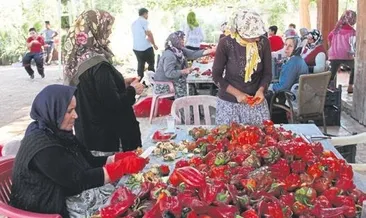 Gastronomi şehrinde acı telaş başladı
