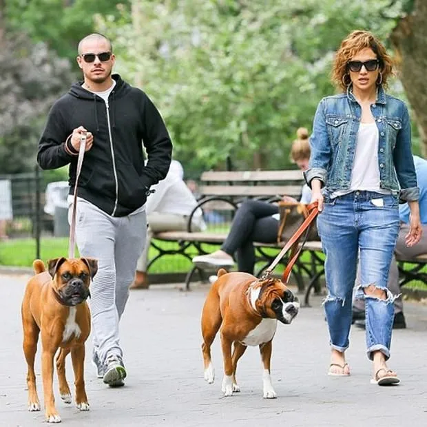 Jennifer Lopez’in köpeklerine özel bakım!