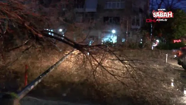Kadıköy'de ağaç ve aydınlatma direği yola devrildi | Video