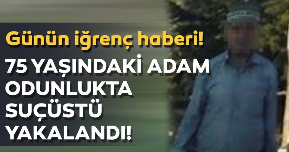 kopege tecavuz ederken yakalandi son dakika haberler