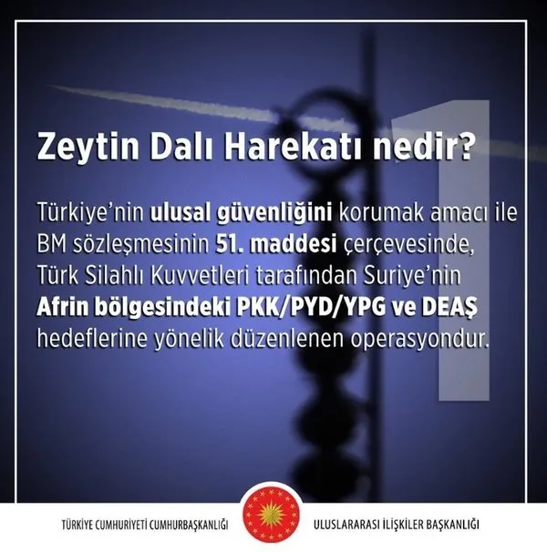 Cumhurbaşkanlığı'ndan Zeytin Dalı Harekatı'yla ilgili 10 soruya 10 cevap
