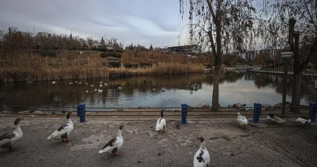 Göksu Park Nerede, Nasıl Gidilir? Ankara Göksu Parkı Girişi Ücretli Mi?