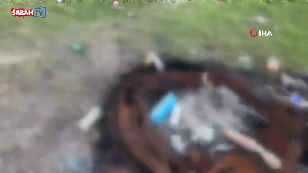 Yüksekova’da piknikçilerin bıraktığı atıklar tepki çekti videosunu izle Yüksekova’da piknikçilerin bıraktığı atıklar tepki çekti videosunu izle