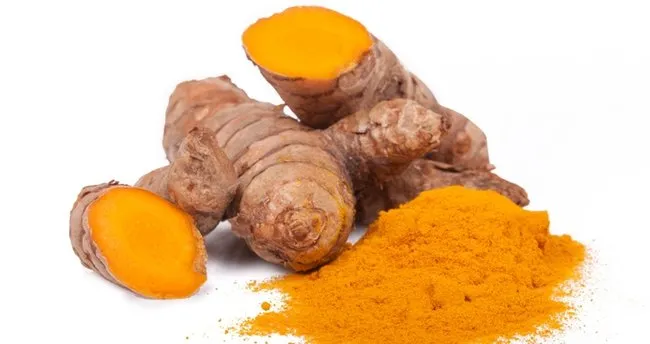 taze ve cubuk zerdecal nasil tuketilir zerdecal yemeklerde nasil kullanilir saglik haberleri